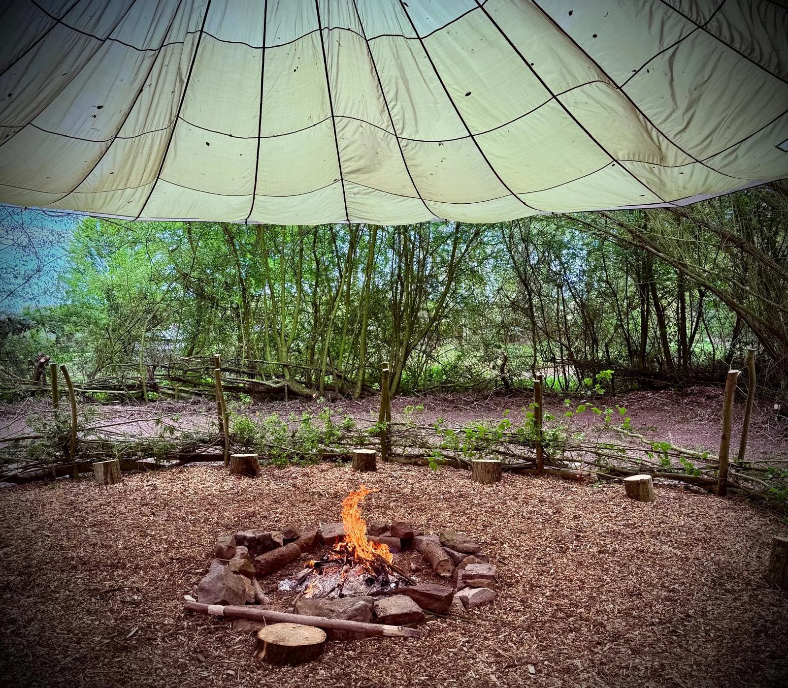 Back 2 Bear campfire and woodland learning area